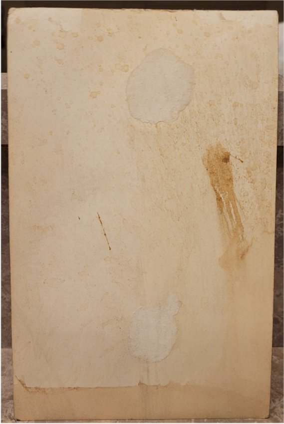 Jack Johnson Original Vintage Boxing Photo facsimile signature