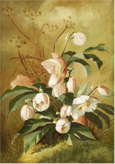 George Cass "Helleborne Flowers" Oil on Canvas mid-19th Century - Click Image to Close