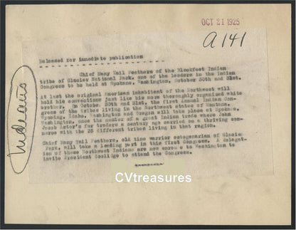 Indian Chief Many Tail Feathers Original Antique Type 1 Historical Photo 1925