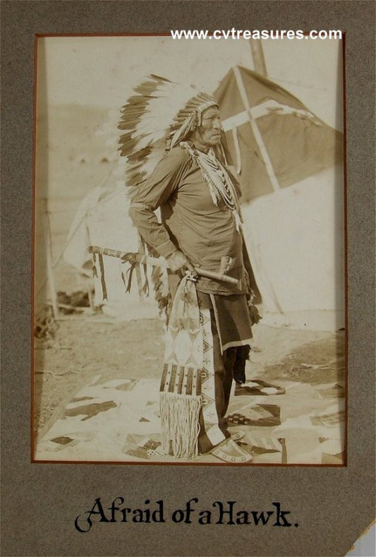 Indian Chief Afraid of Hawk Original Antique Type 1 Historical Photo
