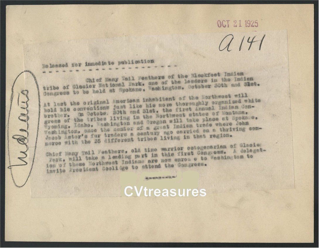 Indian Chief Many Tail Feathers Original Antique Type 1 Historical Photo 1925