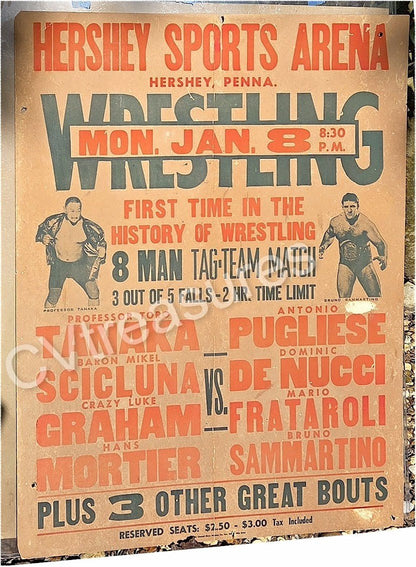 WWWF Original Wrestling WWWF Concert Poster Sports Memorabilia Poster Bruno Sammartino Toro Tanaka 1967/68