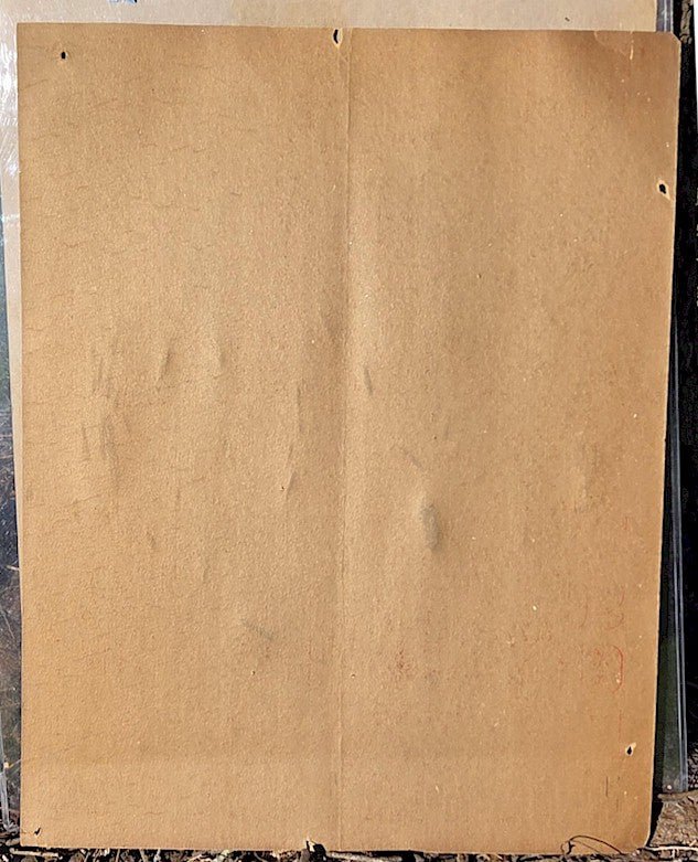 WWWF Original Wrestling WWWF Concert Poster Sports Memorabilia Poster Bruno Sammartino Toro Tanaka 1967/68